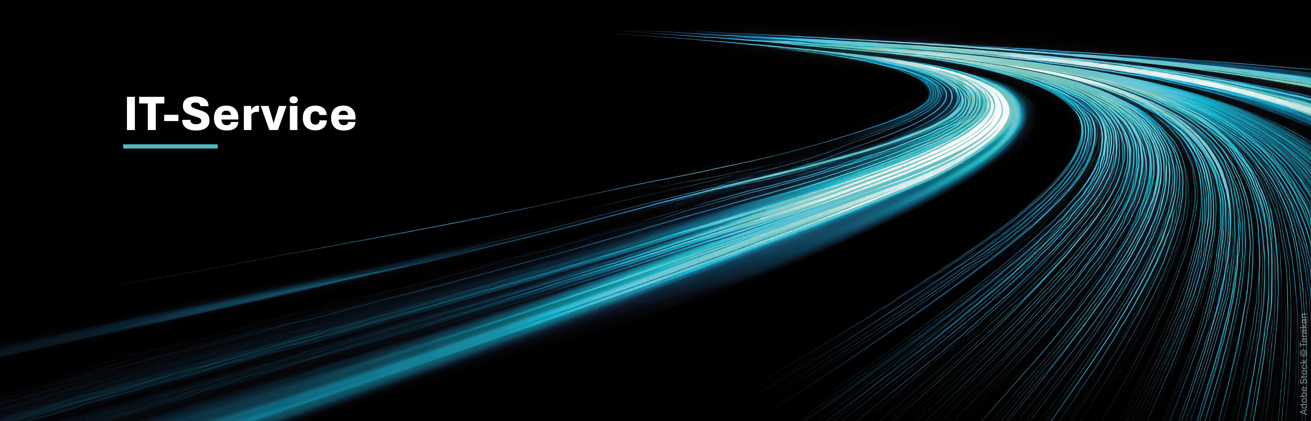 IT-SERVICE