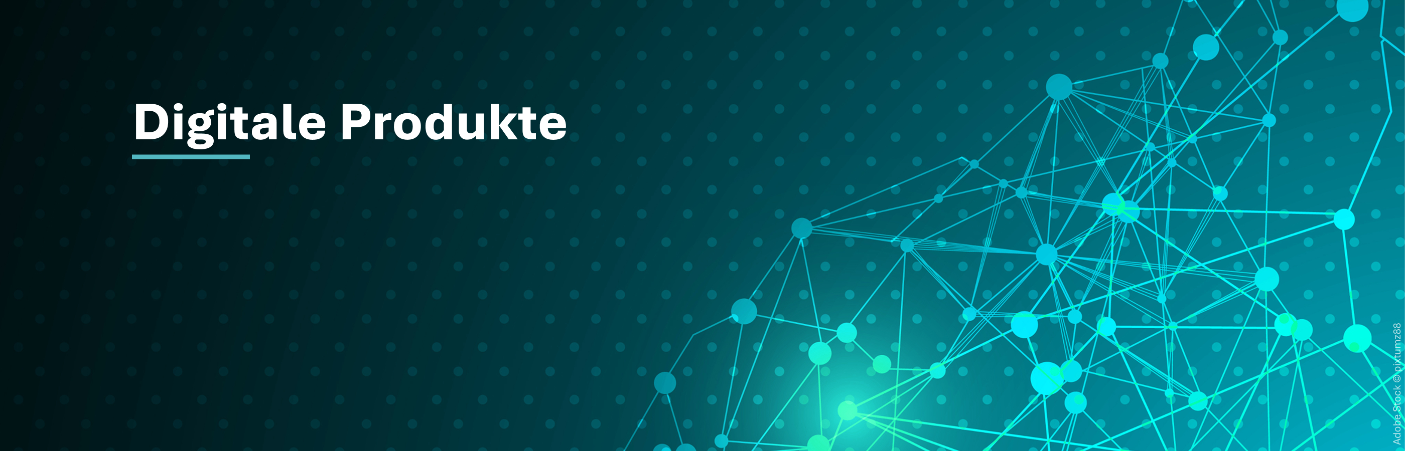 DIGITALE PRODUKTE