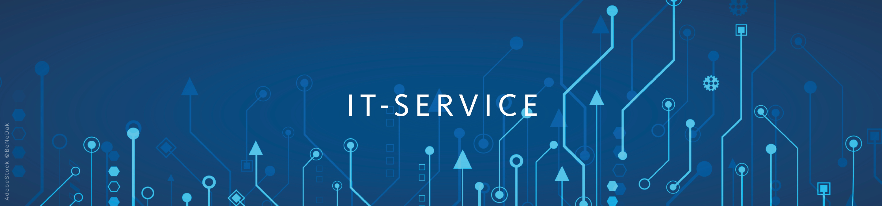 IT-SERVICE