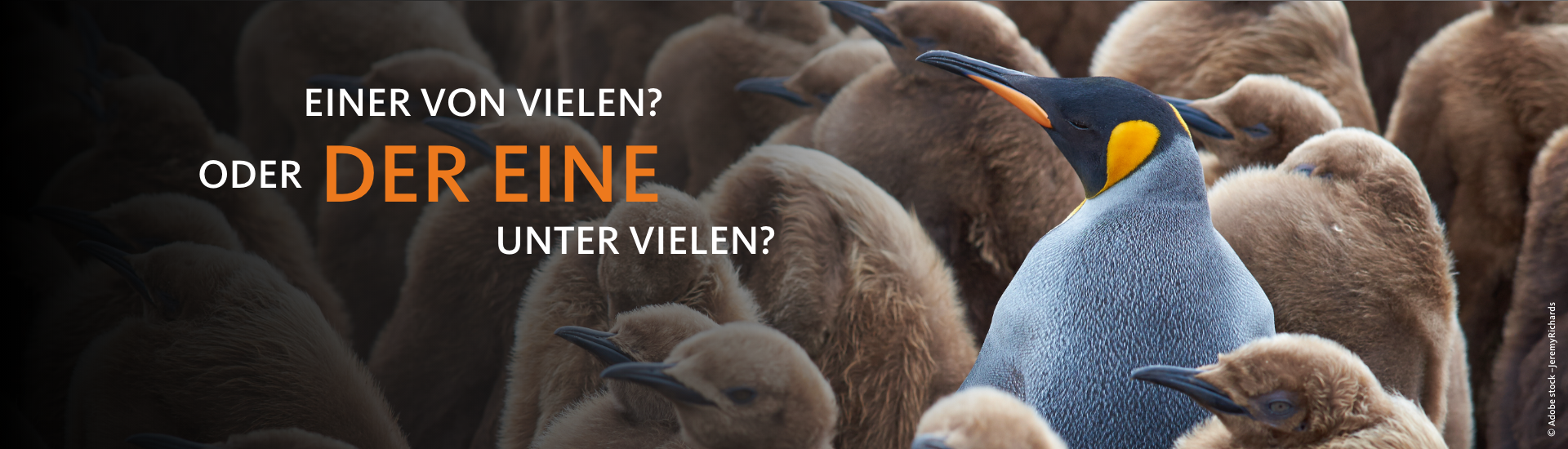 Einer von vielen oder der Eine unter vielen?