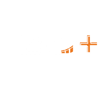 Team ZMD+