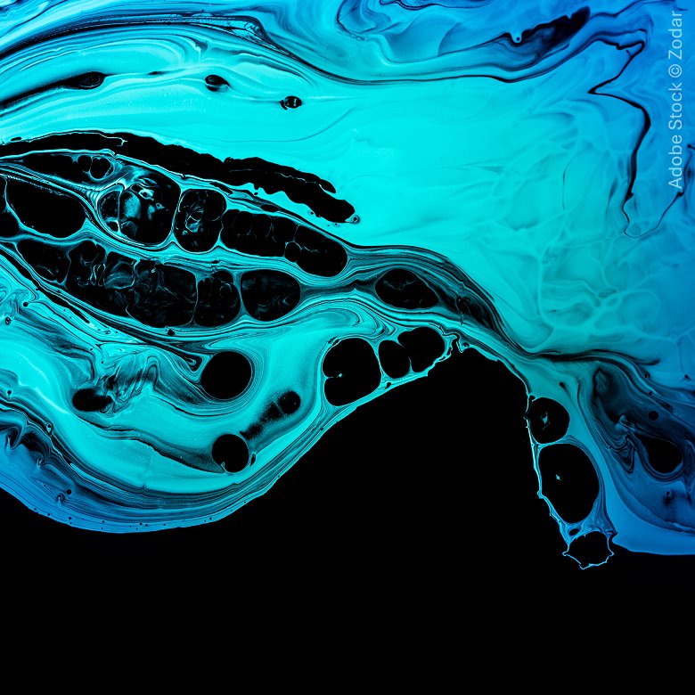 Agentur Komplett Schwarz